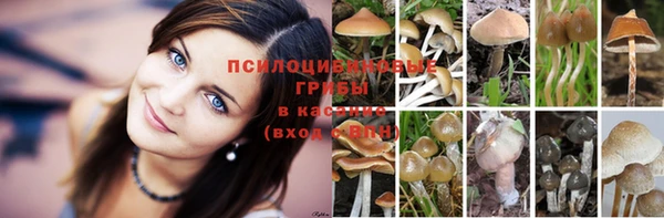 прущая мука Абаза