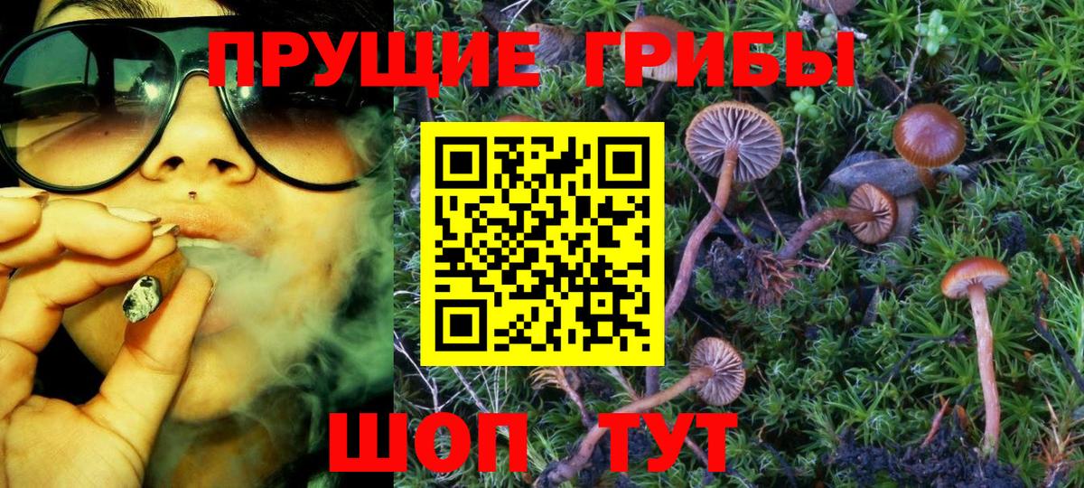 Псилоцибиновые грибы прущие грибы  Галлюциногенные грибы GOLDEN TEACHER  Канаш  Вход с VPN 