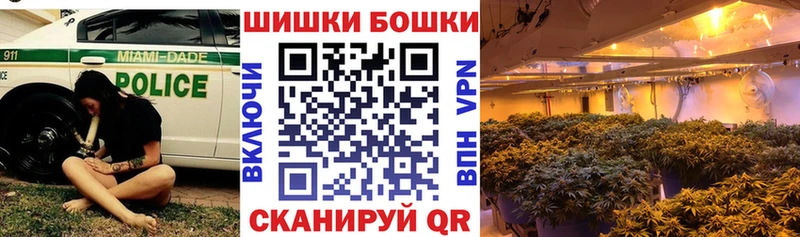Бошки марихуана планчик Канаш